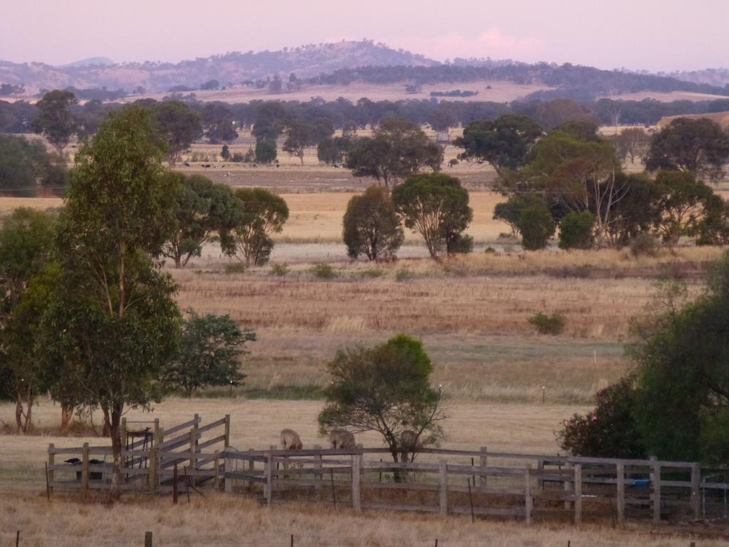 La Maison St Arnaud Rutherglen Luaran gambar